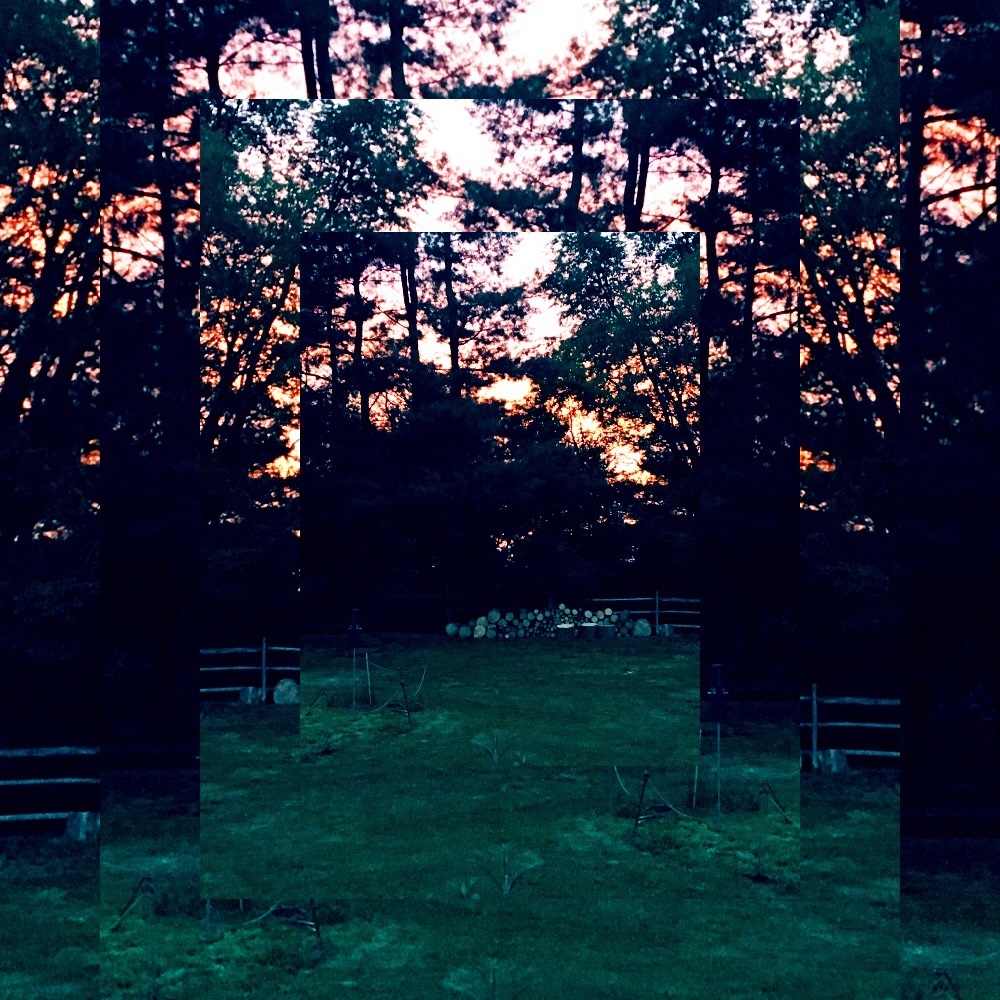 Meet your Posher, Janice